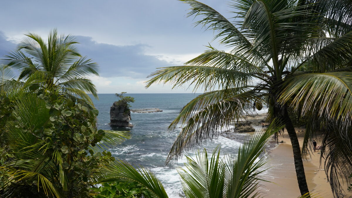 Cahuita national park