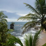 Cahuita national park